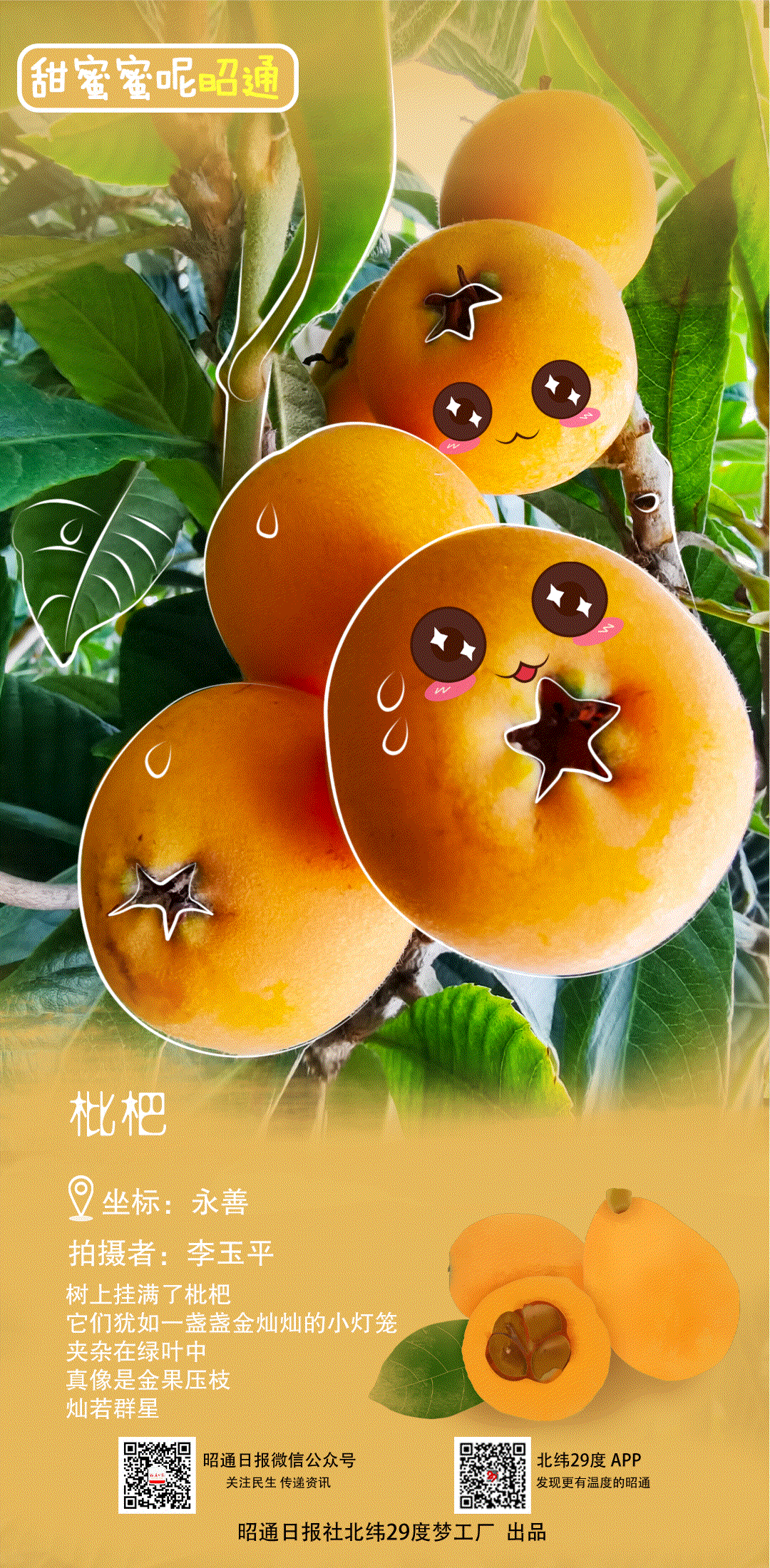 昭通日报