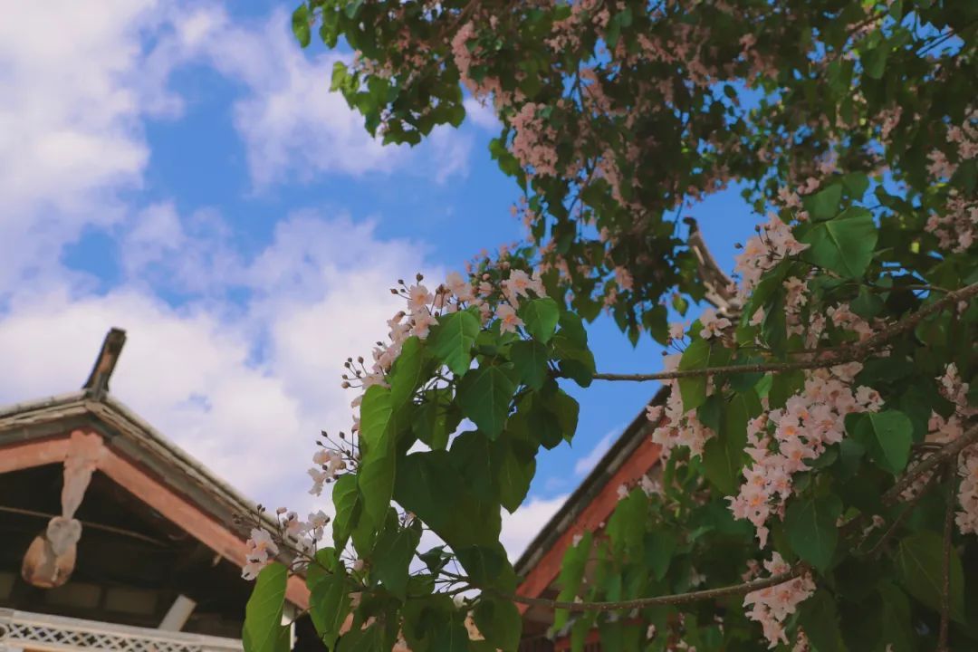 云南省文化和旅游厅