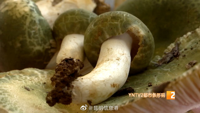 昆明信息港