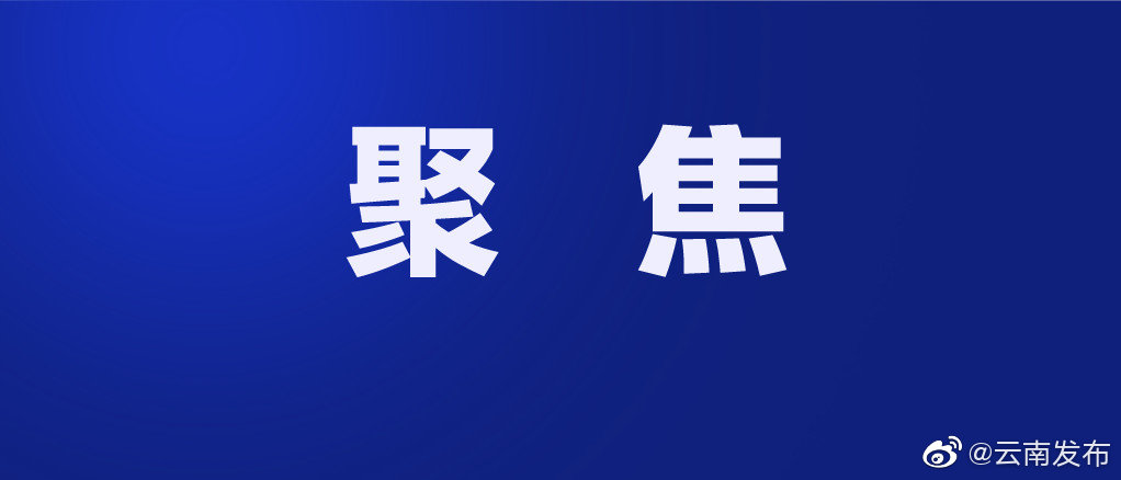 云南再开工重大产业项目919个
