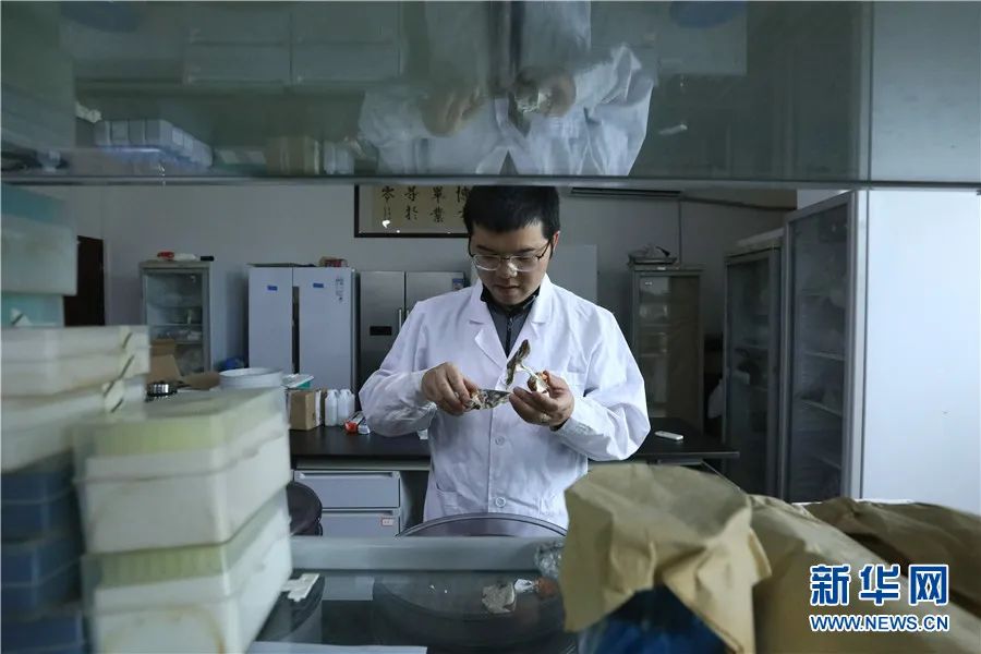 美丽云南微科普