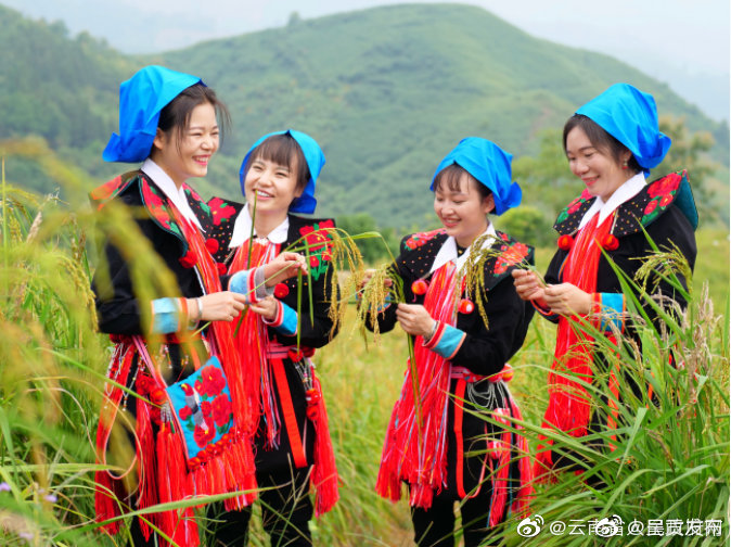 呈贡发布