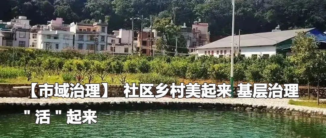 云南政法