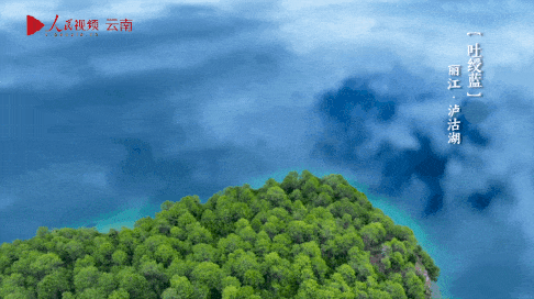 云南省文化和旅游厅