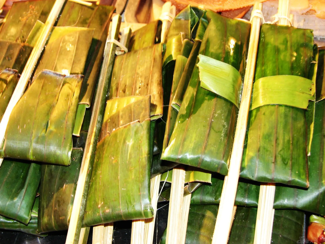 西双版纳望天树景区