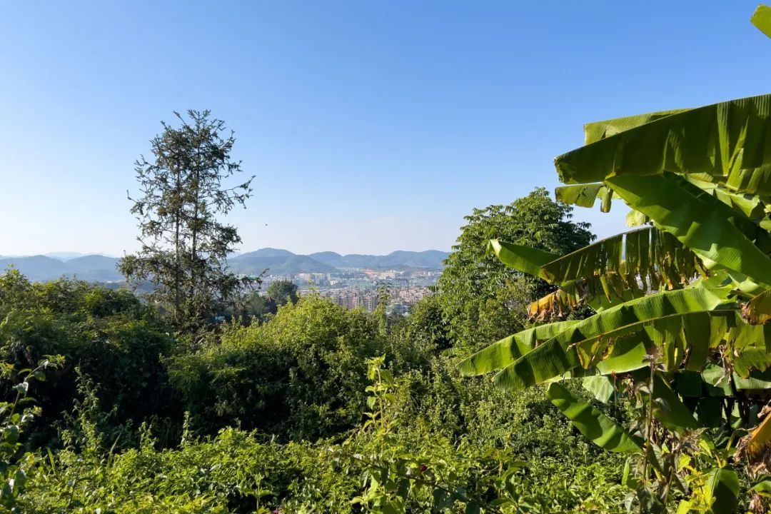 云南省文化和旅游厅