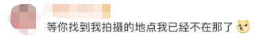 云南信息报