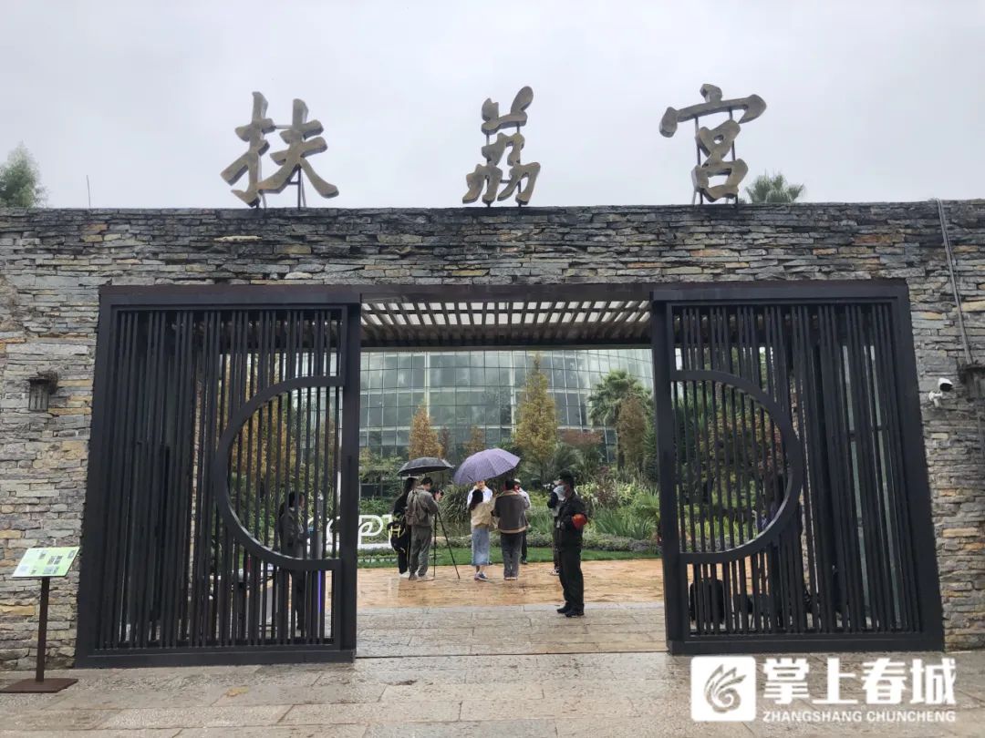 掌上春城微信公众号