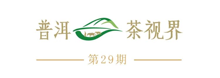 普洱日报
