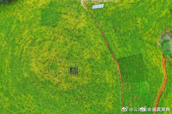 呈贡发布