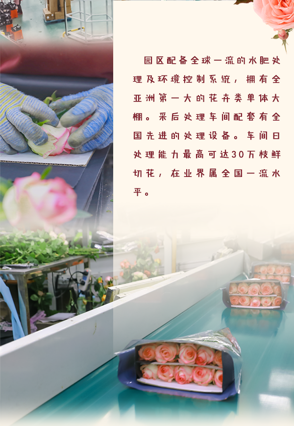 昆明发布