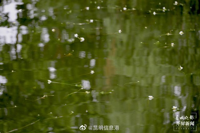 昆明信息港