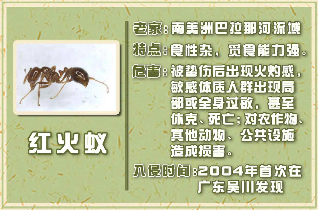 掌上春城微信公众号
