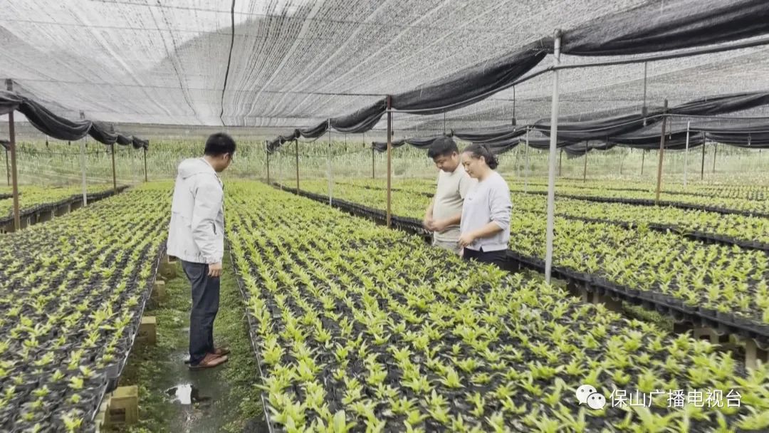保山广播电视台