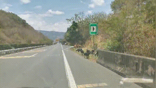 保山交通警察微博