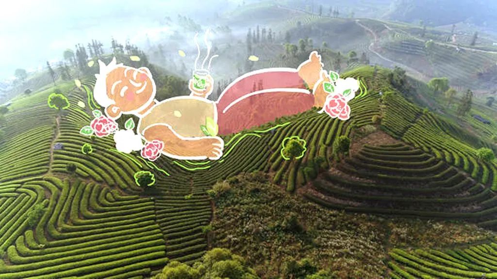 普洱日报