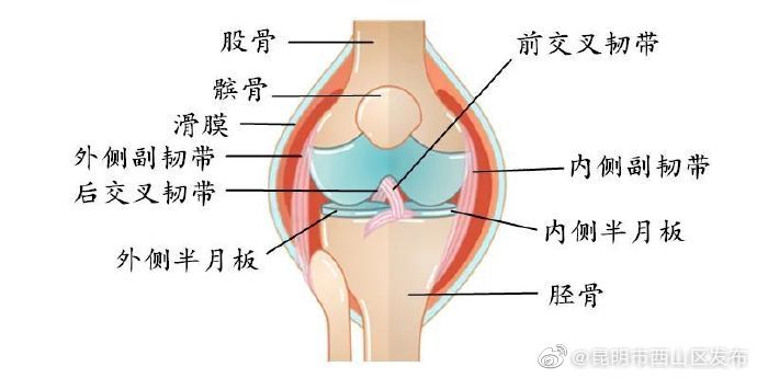昆明市西山区发布