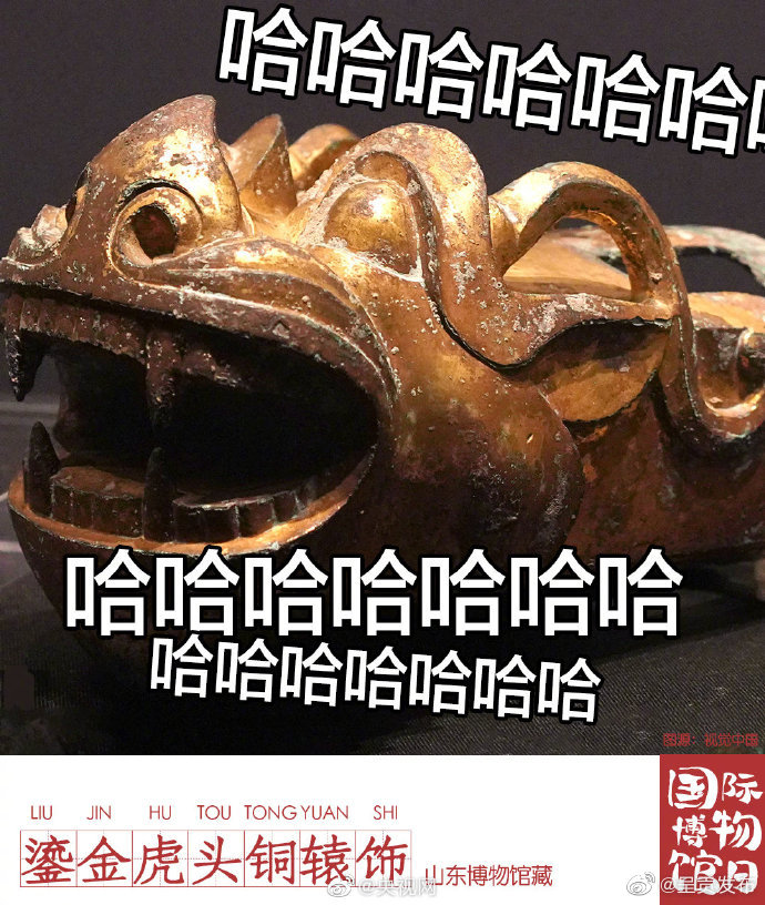 呈贡发布