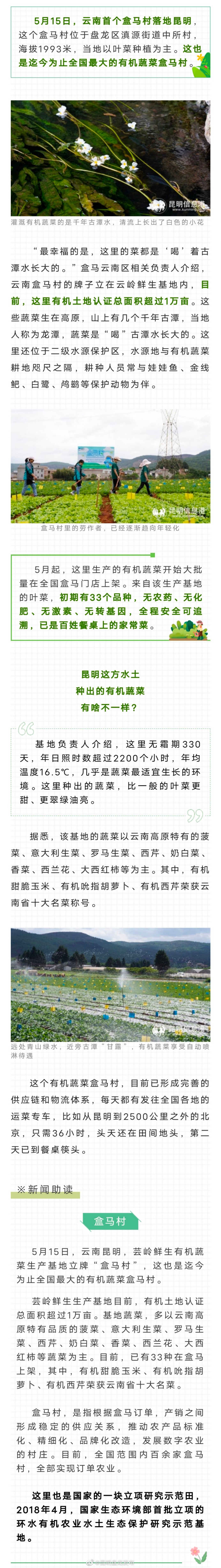 全国最大有机蔬菜盒马村落地盘龙