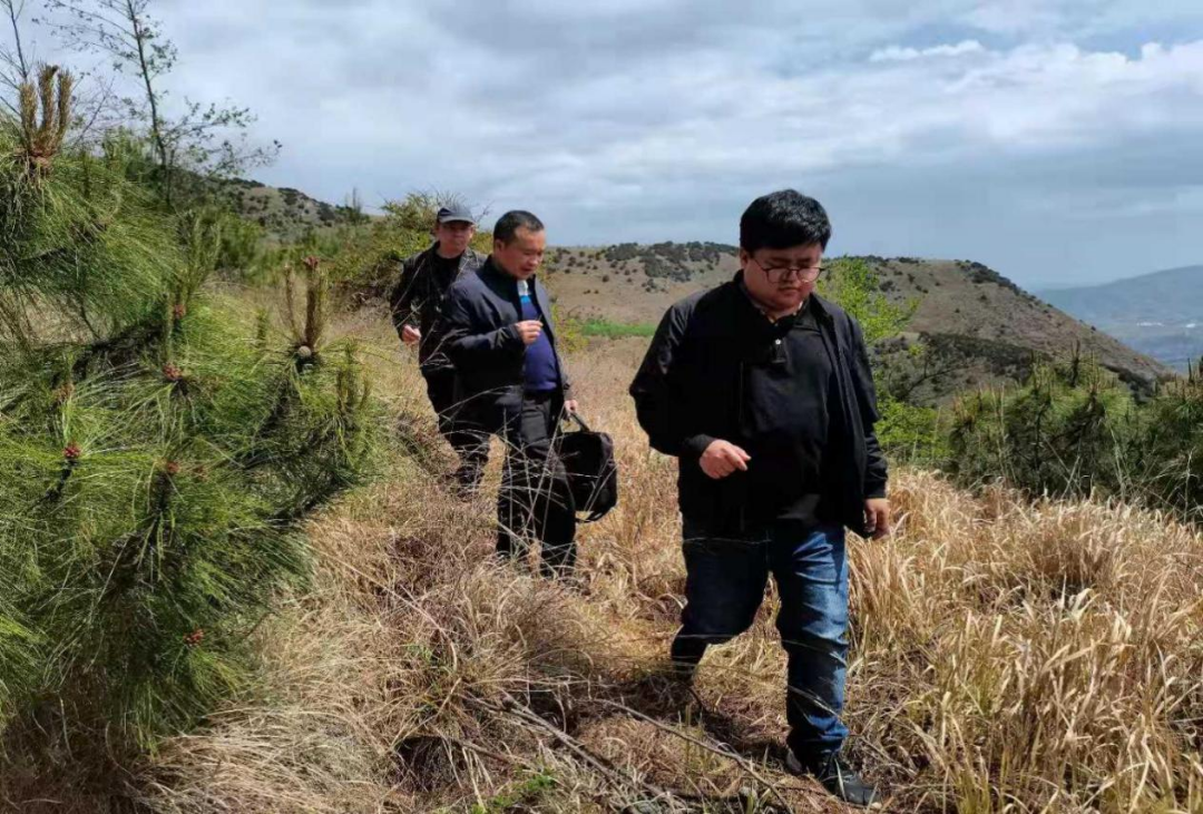 嵩明招商(微信)