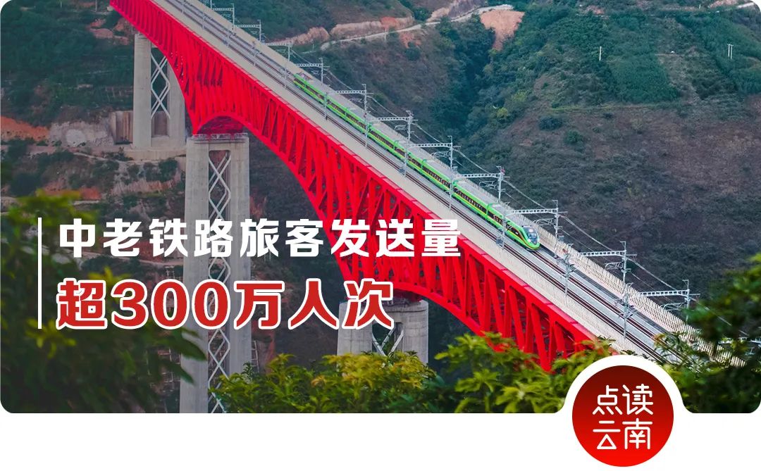 云南省人民政府网