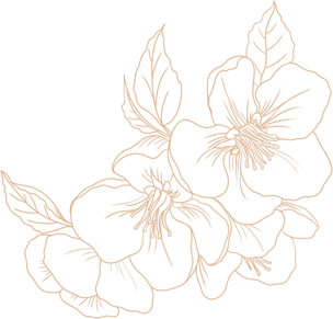 昆明市劳动就业服务局