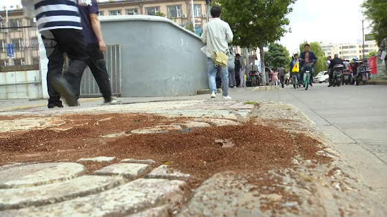 昆明信息港/cnkmxxg