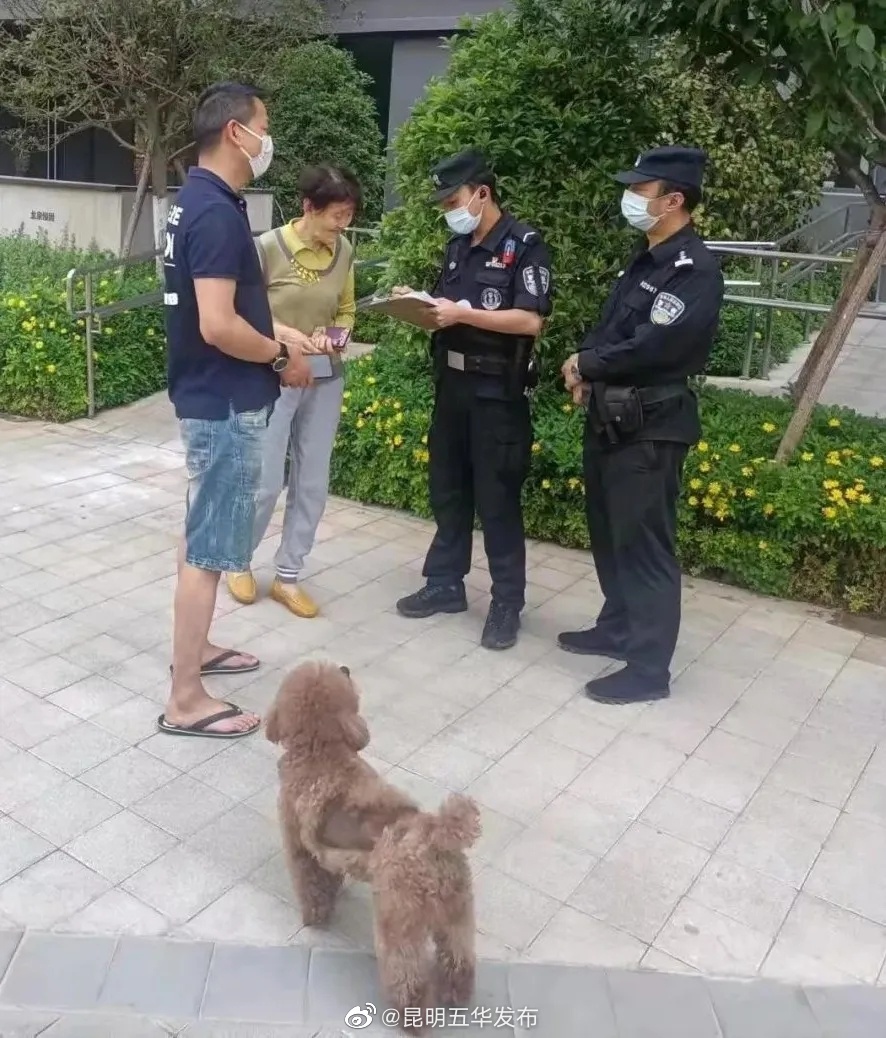 “昆明五华发布”微博