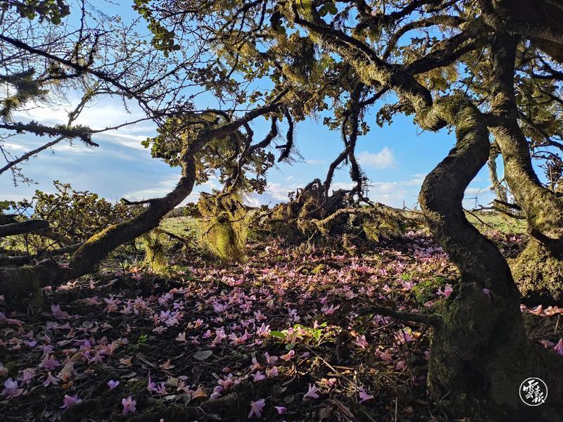 云南省文化和旅游厅