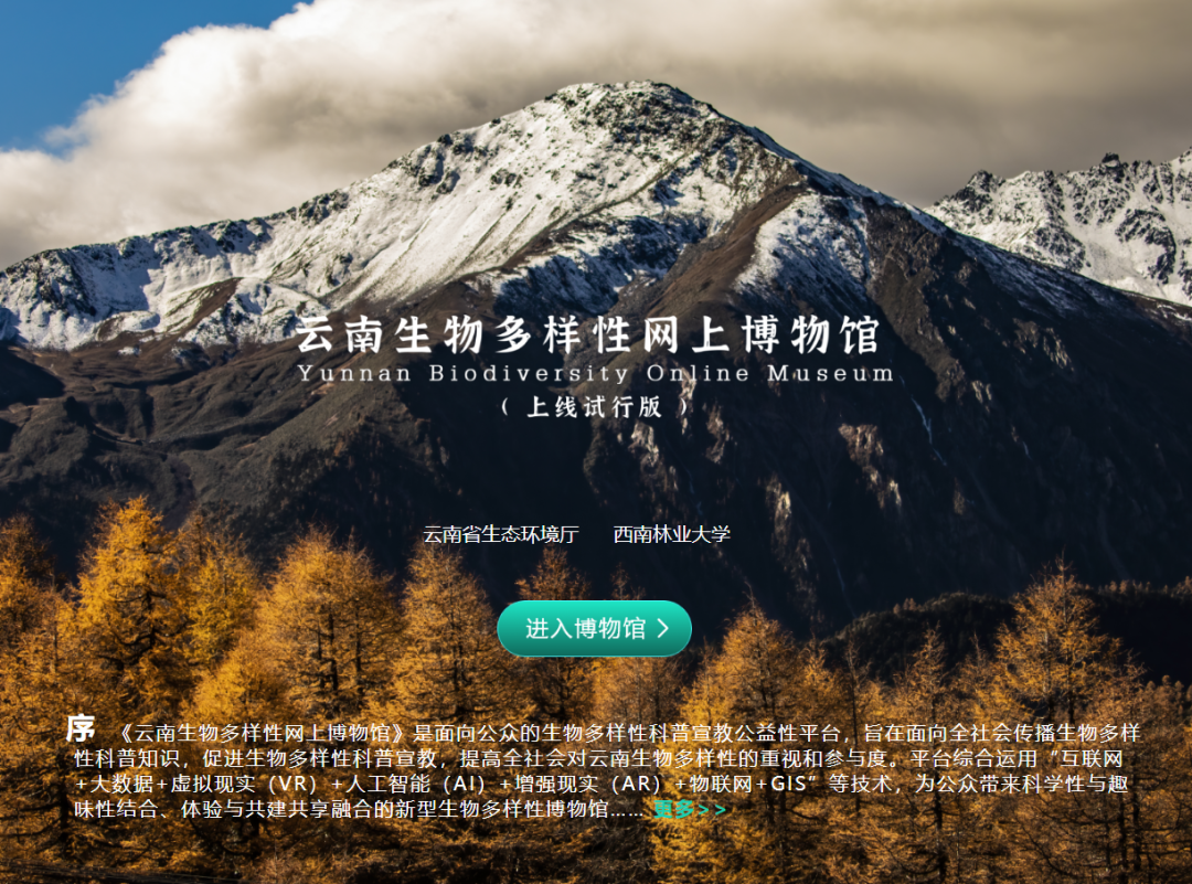 云南法制报