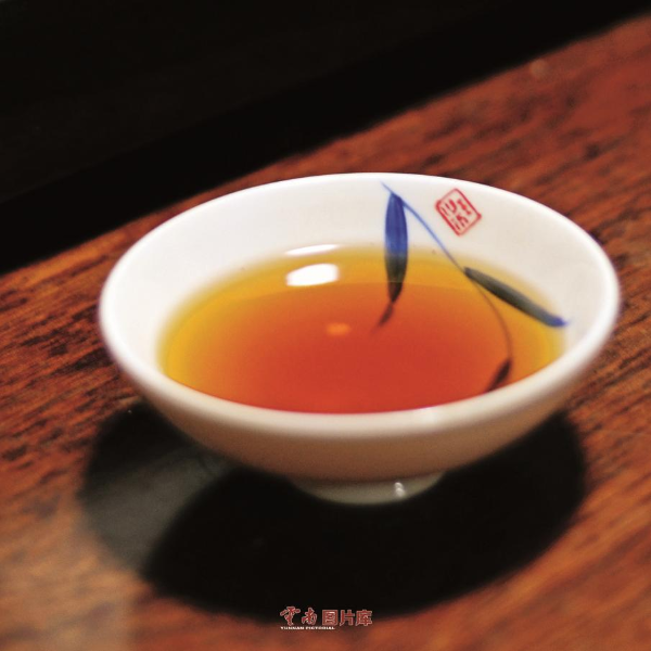 云南信息报