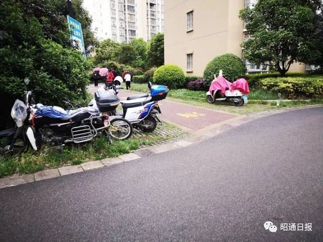 昭通日报
