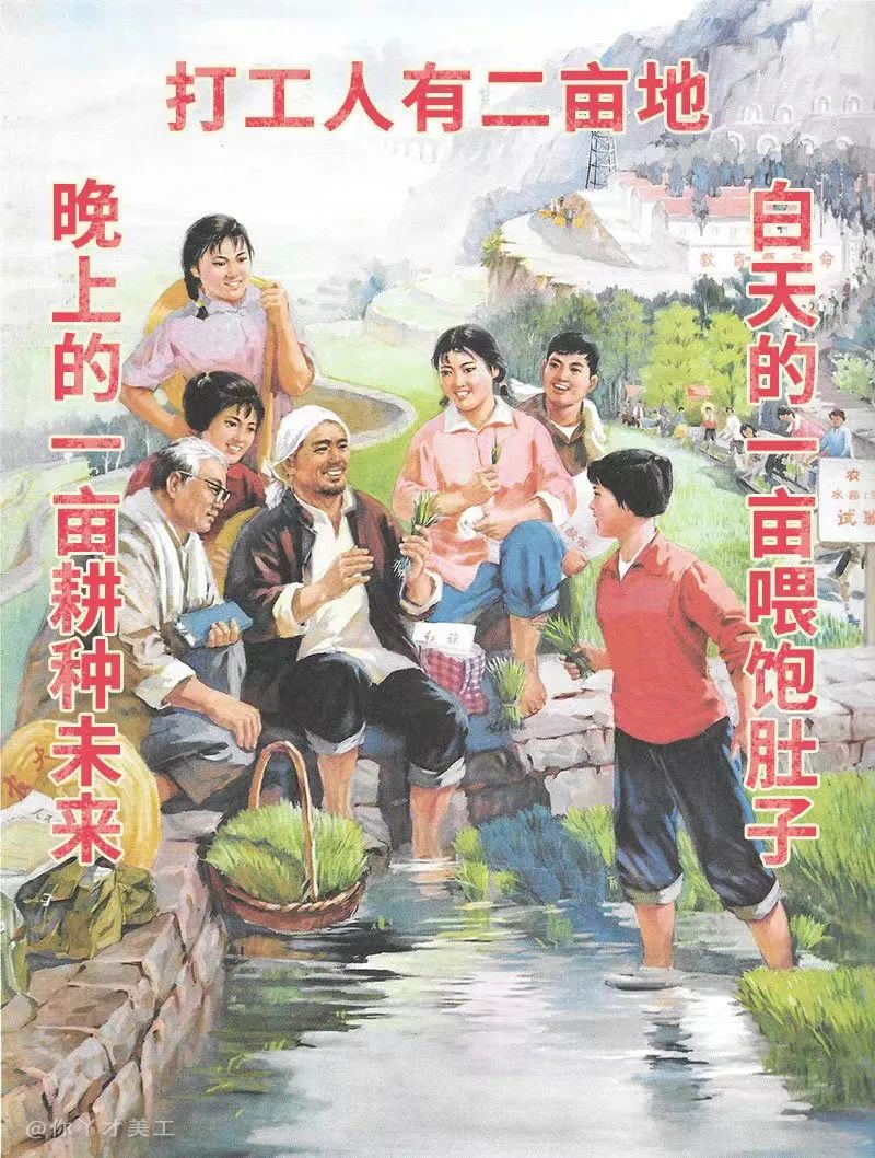 云南法制报