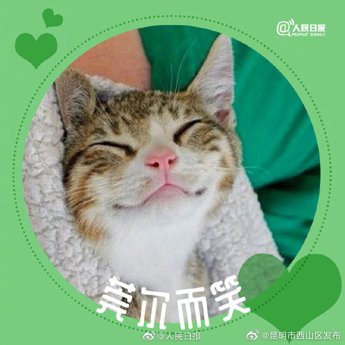 昆明市西山区发布