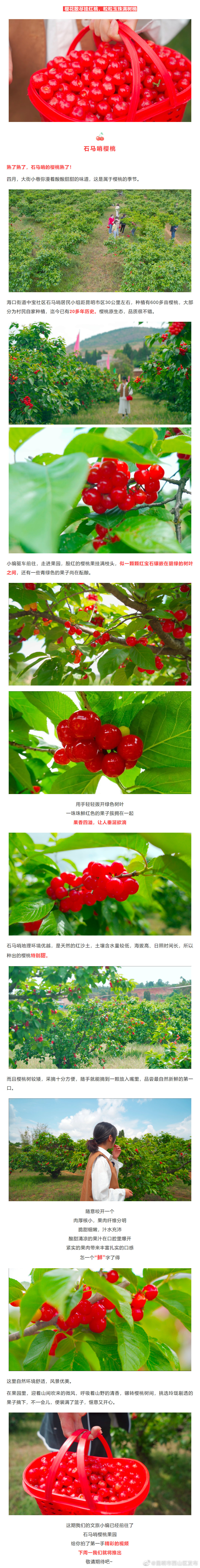 昆明市西山区发布