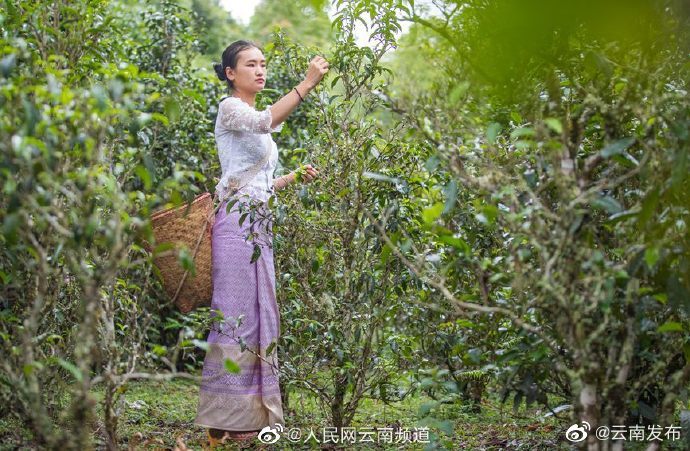 “云南发布”微博