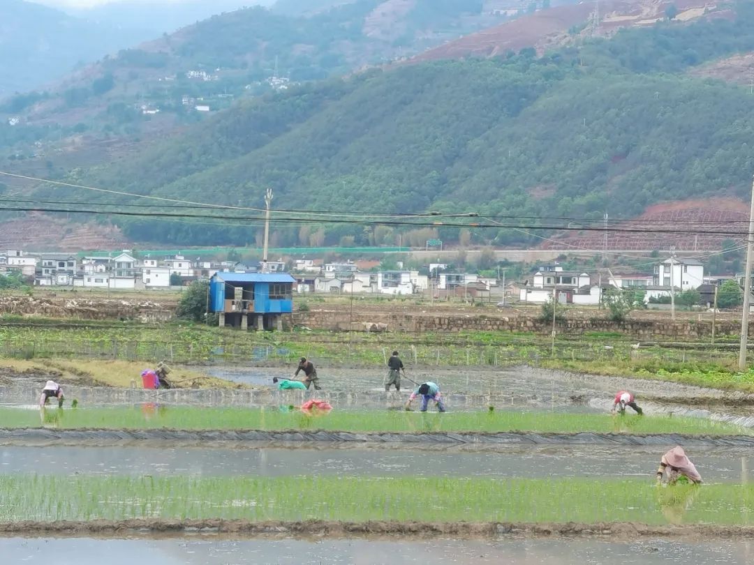 丽江日报