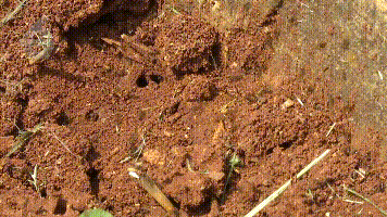 昆明信息港/cnkmxxg