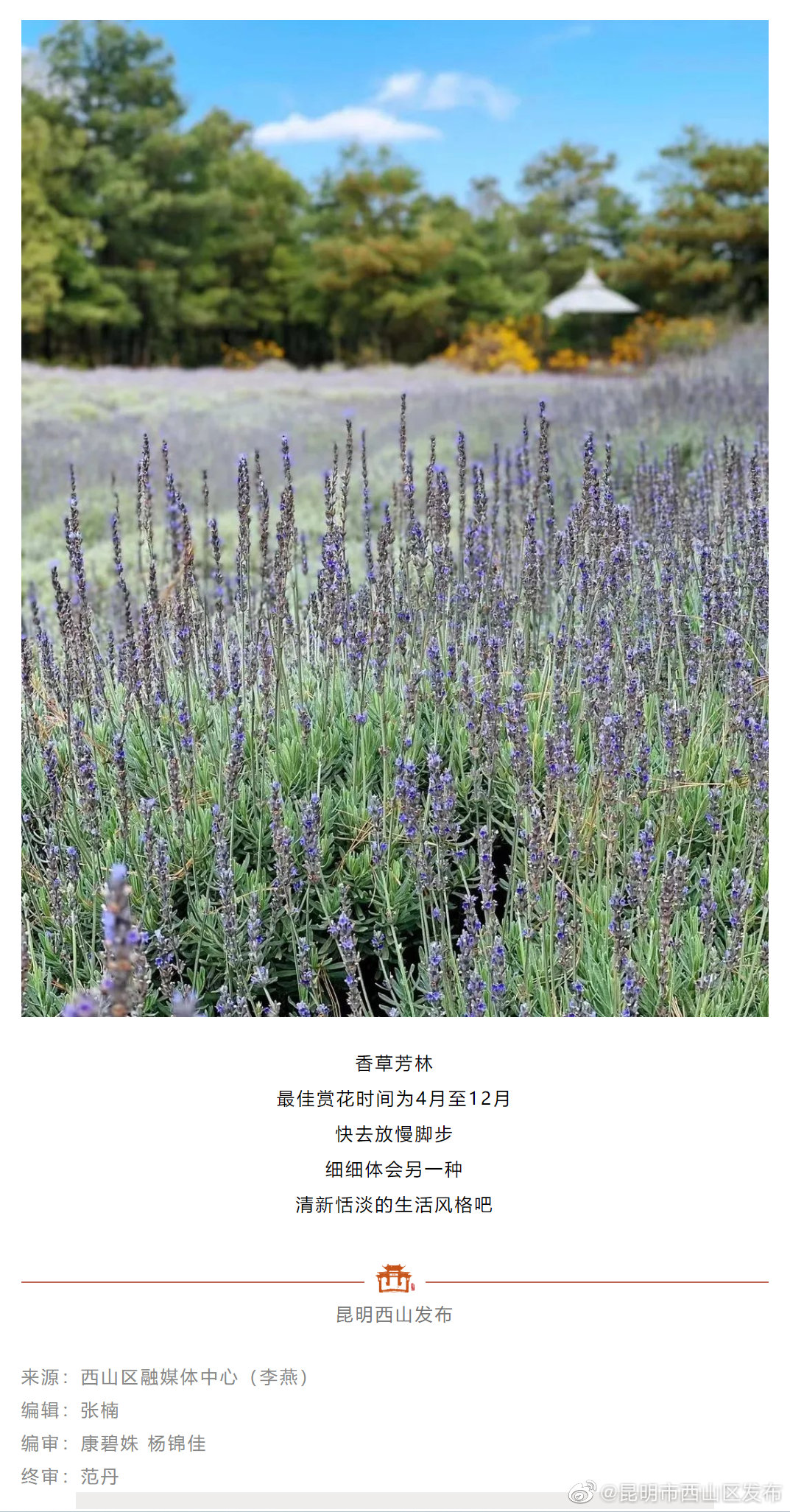 昆明市西山区发布
