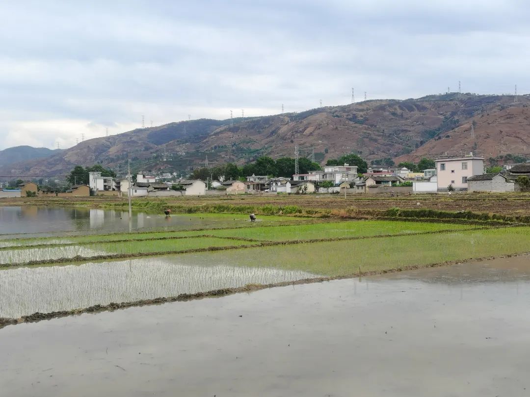 丽江日报