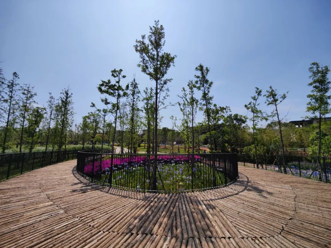 昆明信息港/cnkmxxg