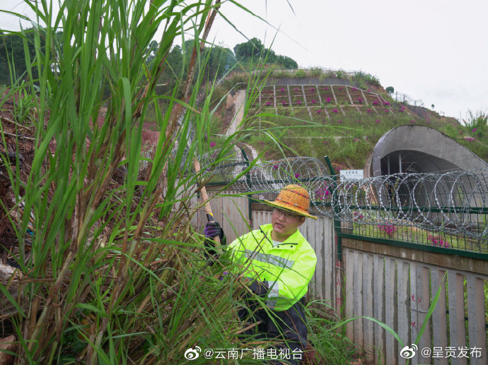 呈贡发布