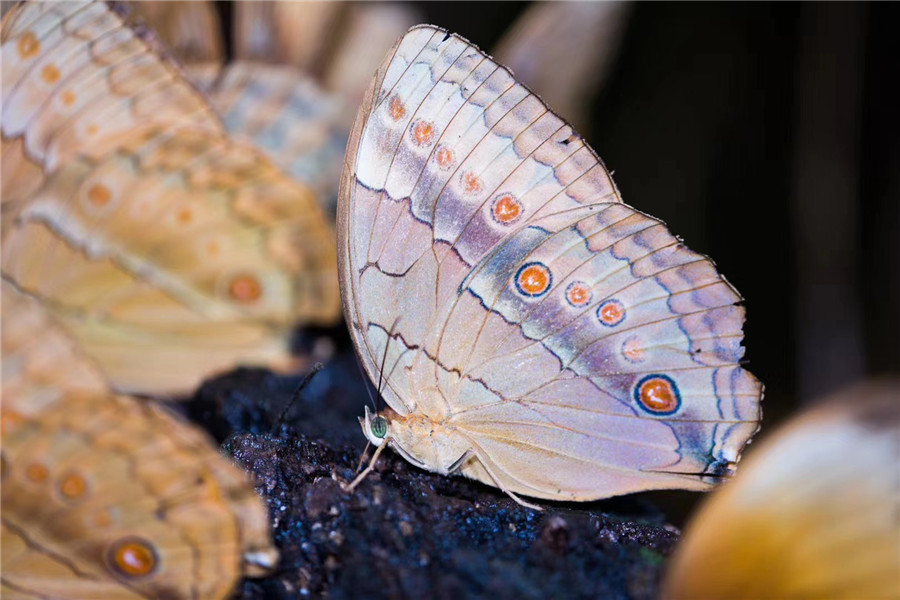 新华网云南频道