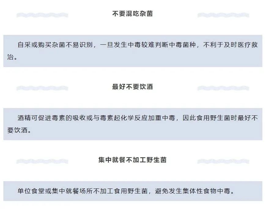 普洱日报
