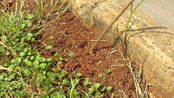 昆明信息港/cnkmxxg