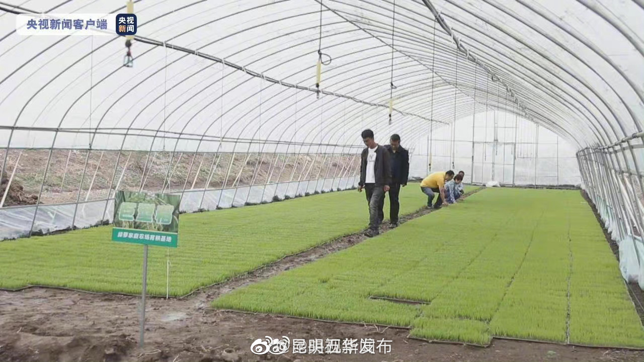 “昆明五华发布”微博