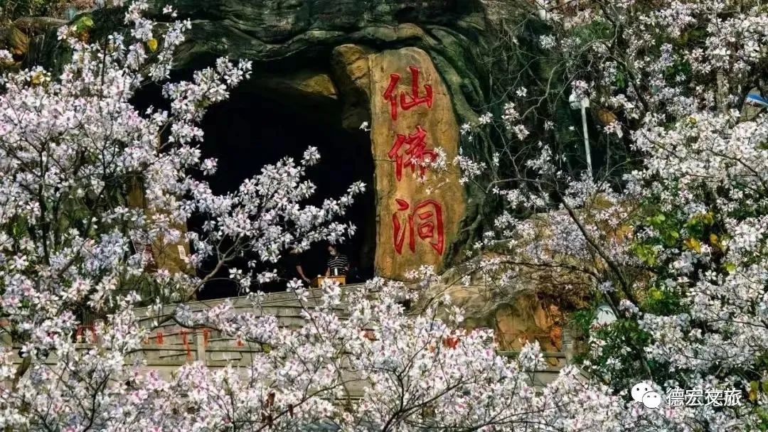 云南省文化和旅游厅