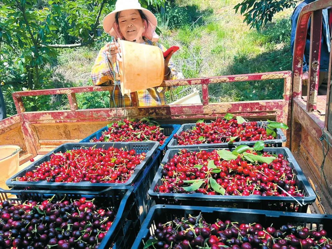 玉溪发布