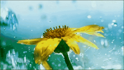 “昆明五华发布”微博