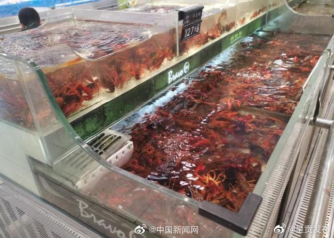 呈贡发布